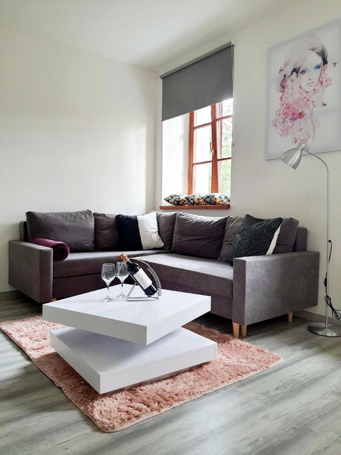 Apartmán Špálovka Nový Bor Esterno foto